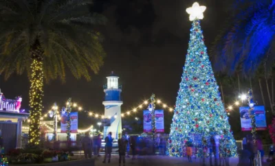 Christmas Celebration